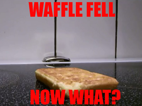 wiffleweef wiffleweef